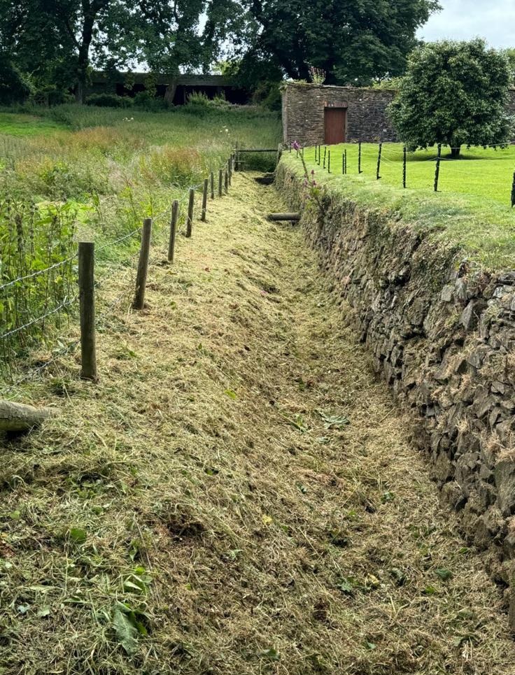 Hedge cutting results